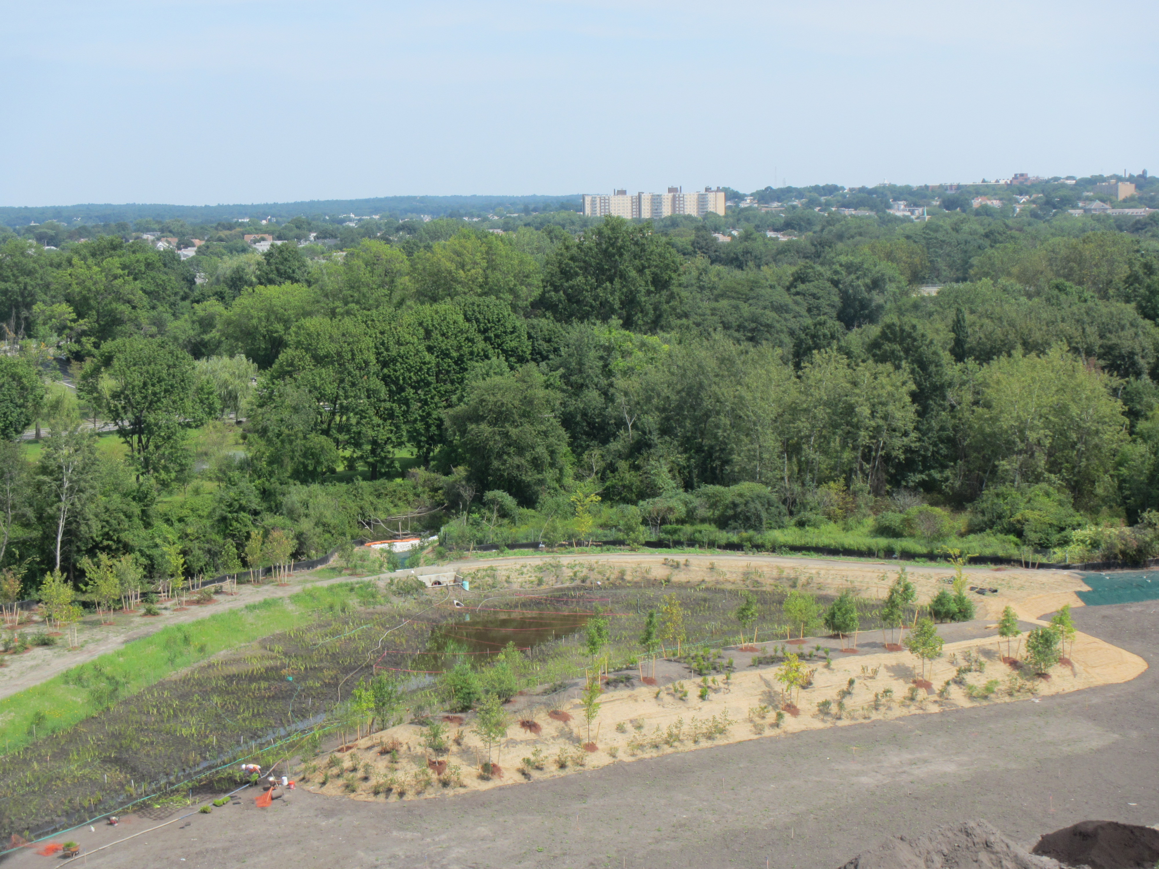Upland peninsula at eastern end of wetland basin_August 24 2012